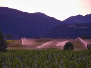 Twin Falls pressurized irrigation users face reduced water supply this summer – KMVT